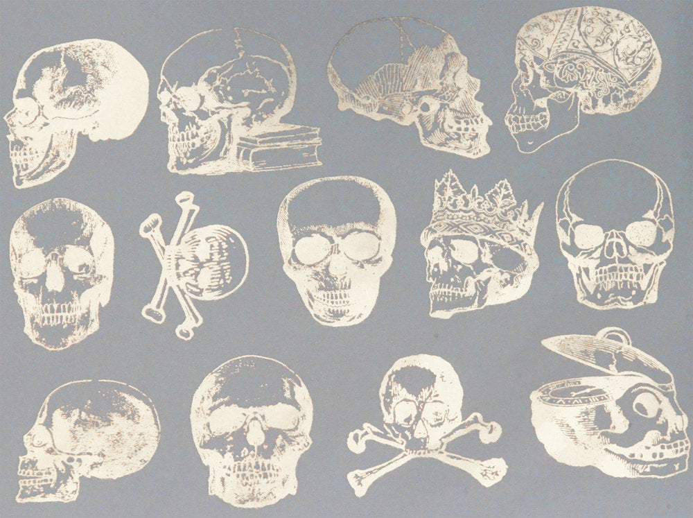 Vintage Skull Decals - Ceramic Cone 017 - Fused Glass - Enamel