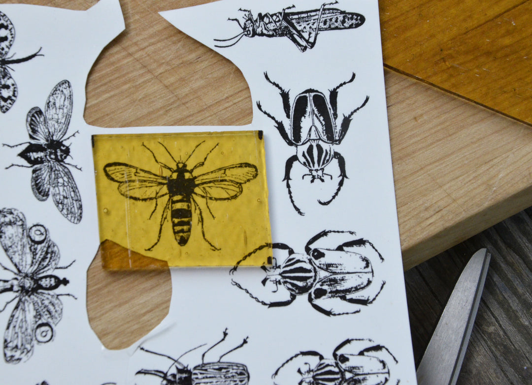 FUSED GLASS PROJECT: SUSPENDED IN AMBER PART 1