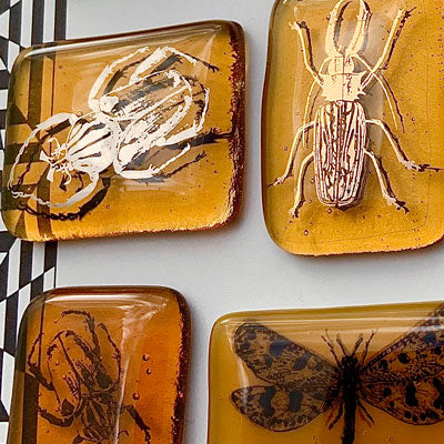 GLASS FUSING PROJECT: INSECTS SUSPENDED IN AMBER