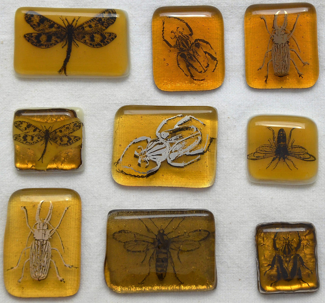 FUSED GLASS PROJECT: SUSPENDED IN AMBER PT. 3