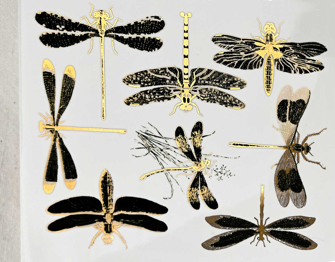 Décalcomanies libellules bicolores - Céramique Cône 017 - Verre fusionné - Émail