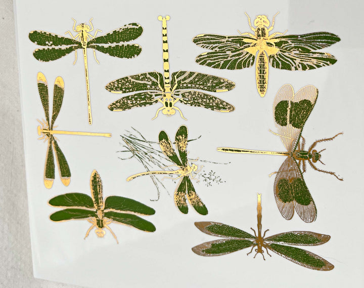 Décalcomanies libellules bicolores - Céramique Cône 017 - Verre fusionné - Émail