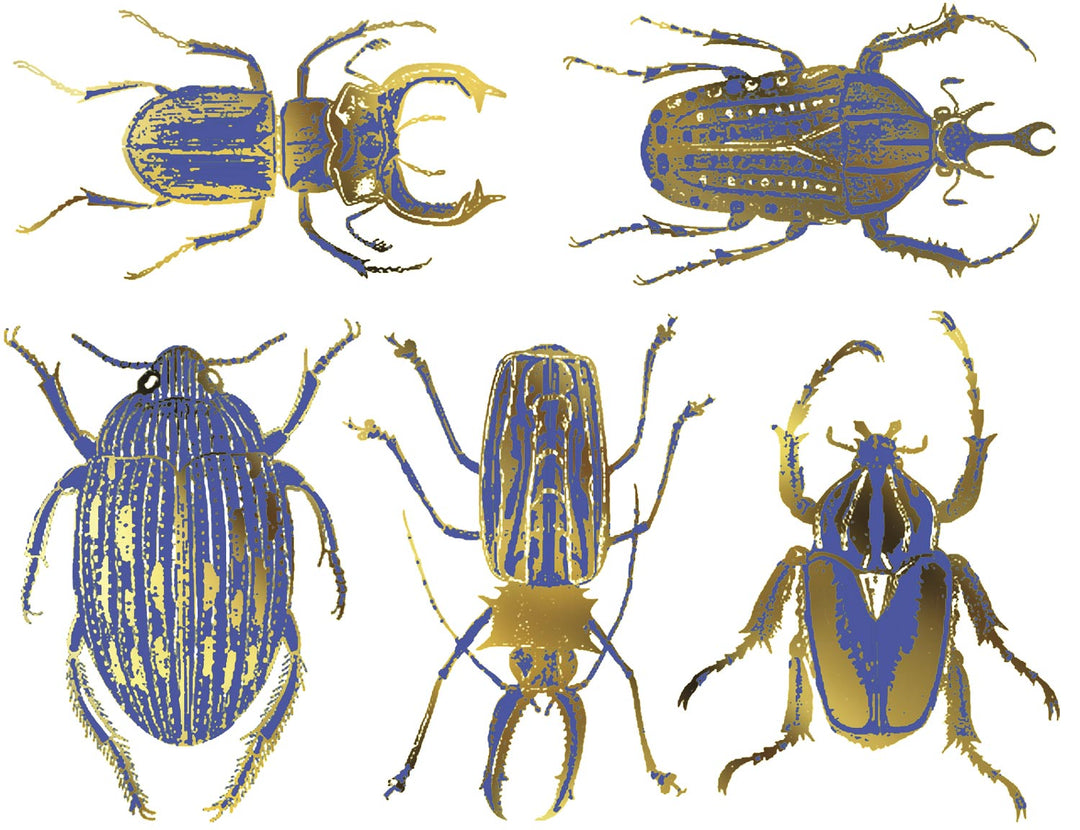 Grandes décalcomanies de scarabée bicolores - Céramique Cône 017 - Verre fusionné - Émail