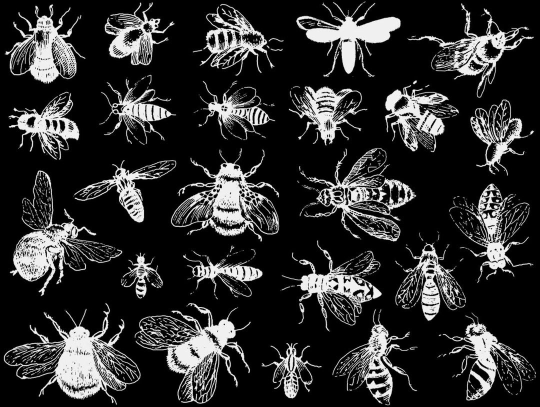 Leuchtende Bienen-Aufkleber im Dunkeln – Nicht lebensmittelecht – Glassware – Keramikkegel 022 – Emaille