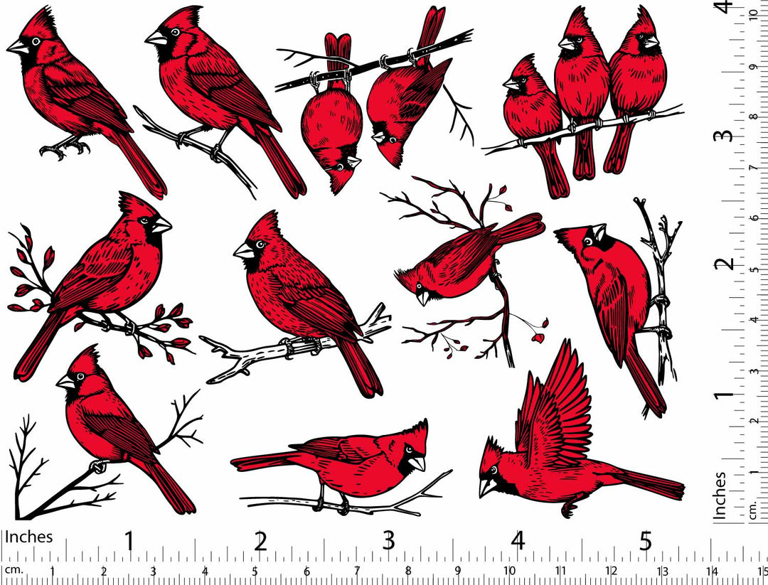 Cardinal Decals - Glassware - Enamel