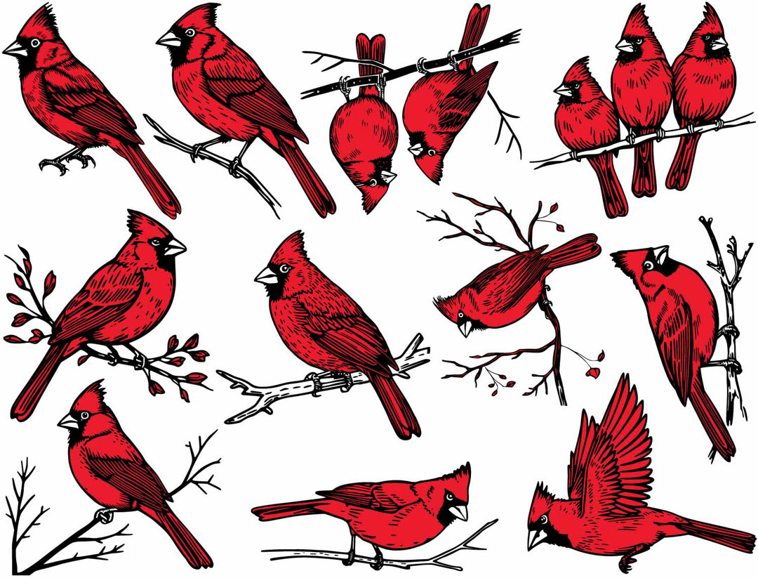 Cardinal Decals - Glassware - Enamel