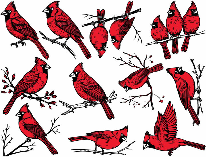 Cardinal Decals - Glassware - Enamel
