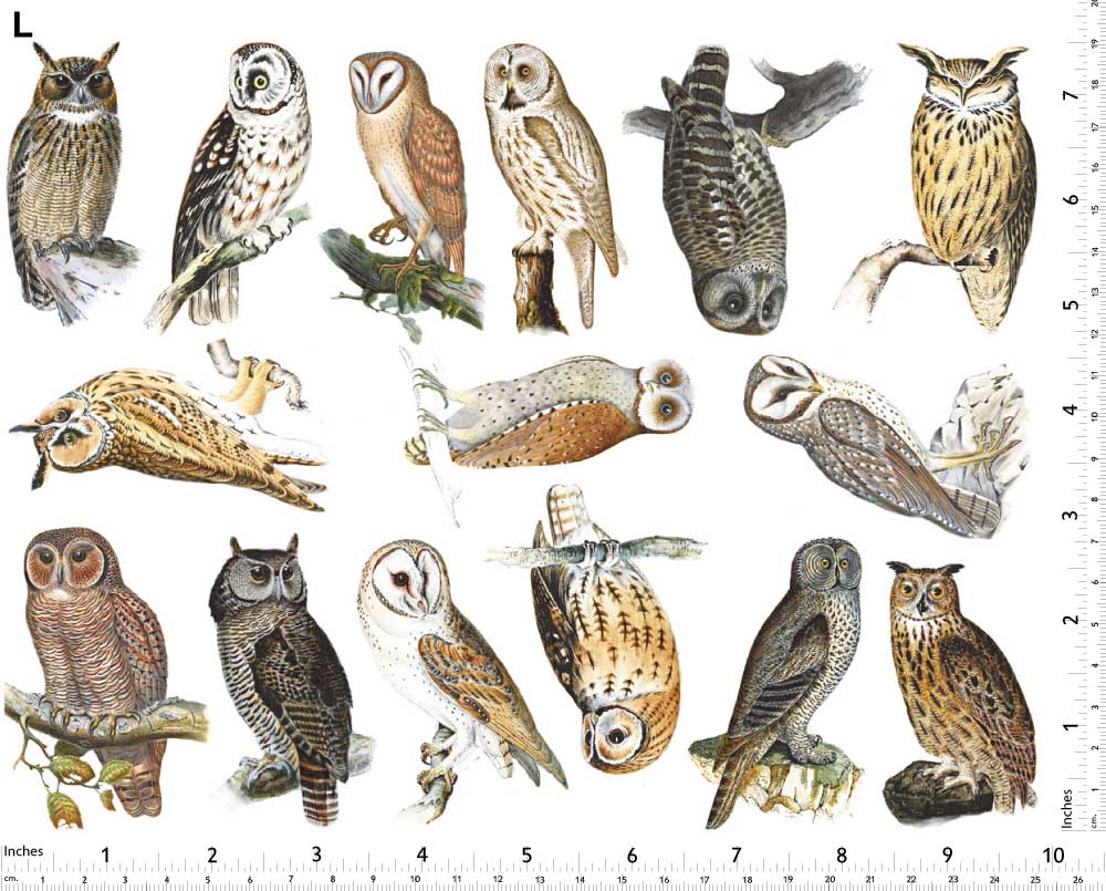 Décalcomanies Hiboux Colorés - Non adapté pour Produits Alimentaires - Céramique Cône 017 - Verre Fusionné - Émail