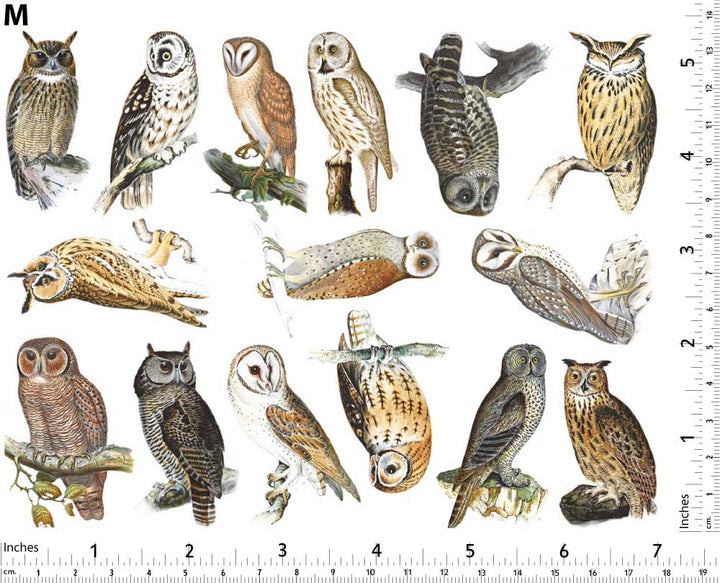 Décalcomanies Hiboux Colorés - Non adapté pour Produits Alimentaires - Céramique Cône 017 - Verre Fusionné - Émail