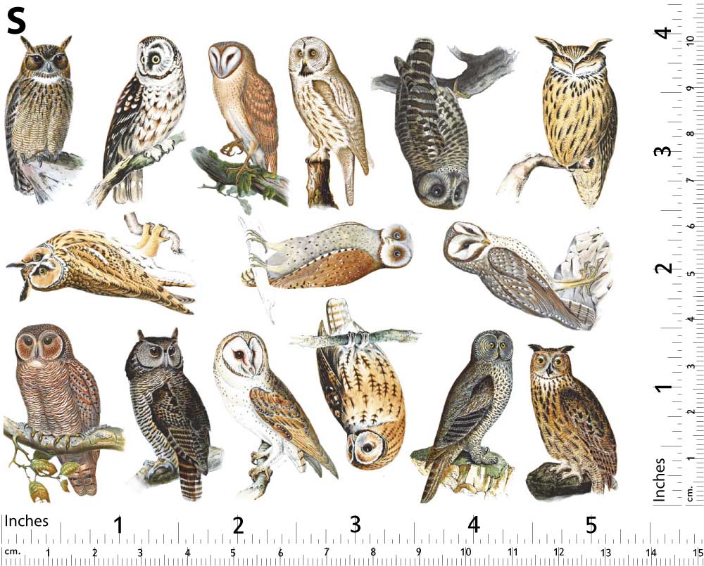 Décalcomanies Hiboux Colorés - Non adapté pour Produits Alimentaires - Céramique Cône 017 - Verre Fusionné - Émail