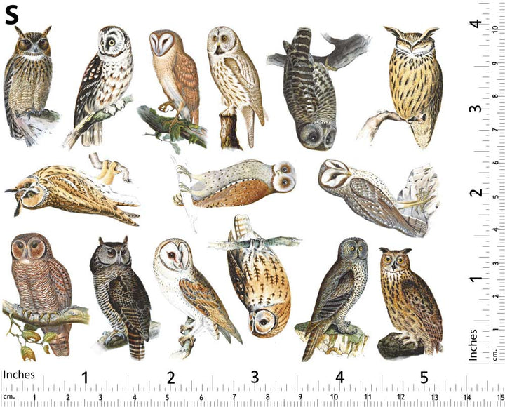 Décalcomanies Hiboux Colorés - Non adapté pour Produits Alimentaires - Céramique Cône 017 - Verre Fusionné - Émail