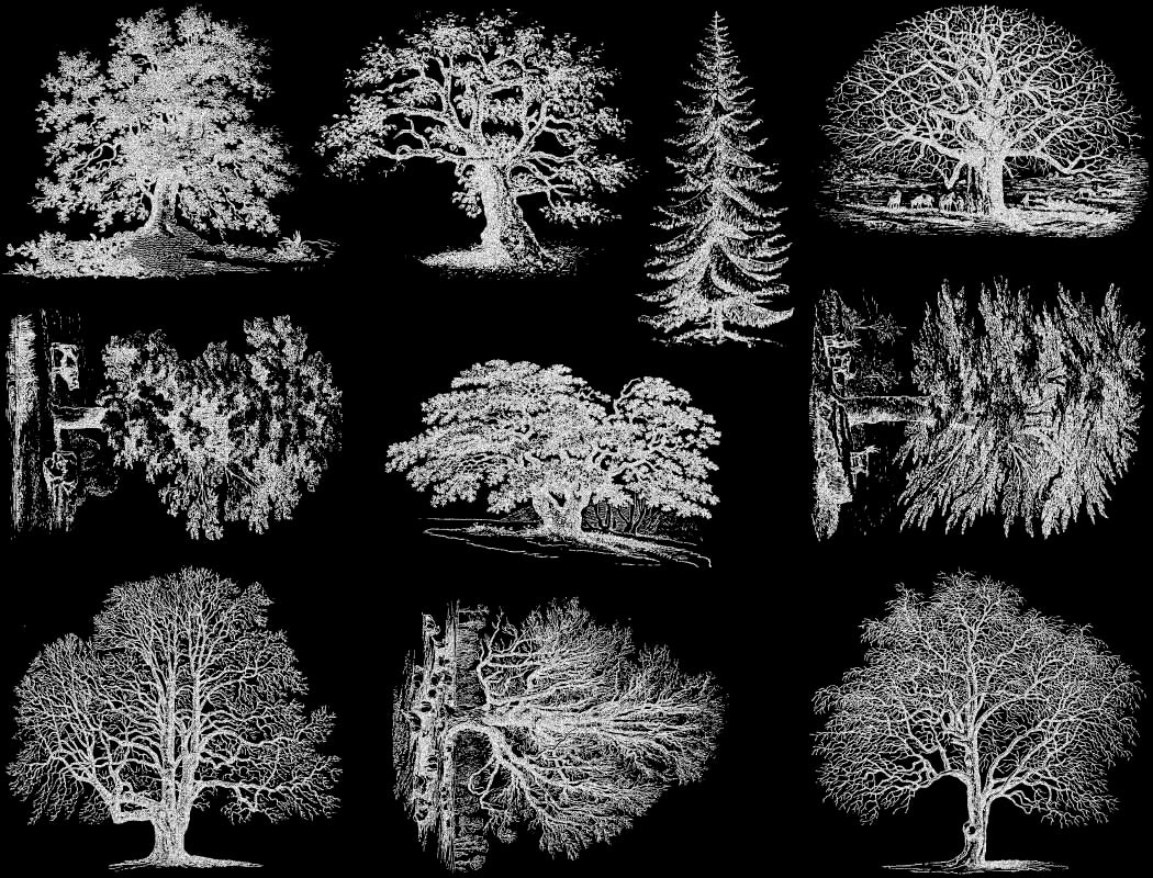 Detaillierte Baumaufkleber - Keramikkegel 017 - Geschmolzenes Glas