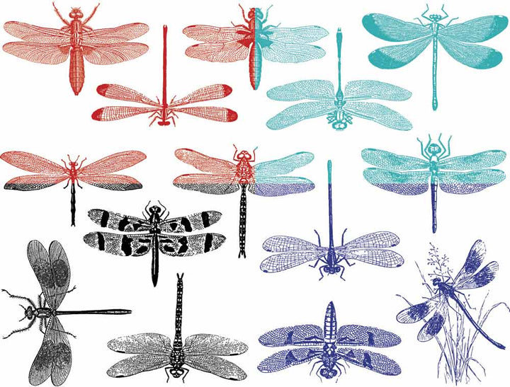 Libellule Décalcomanies - Céramique Cône 6 - En-glaçure