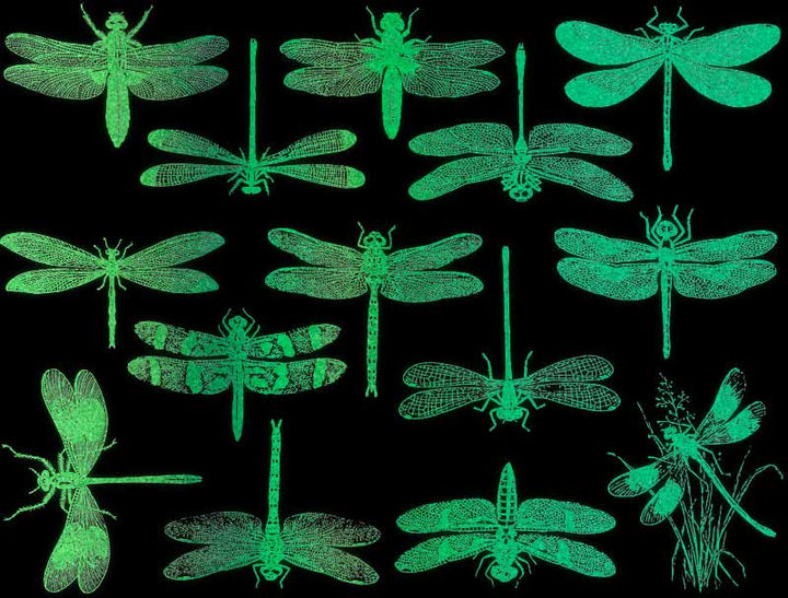 Décalcomanies Libellules phosphorescentes - Non adapté pour Produits Alimentaires - Verrerie - Céramique Cône 022 - Émail