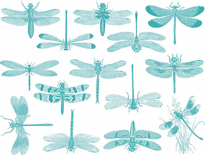 Libellule Décalcomanies - Céramique Cône 6 - En-glaçure