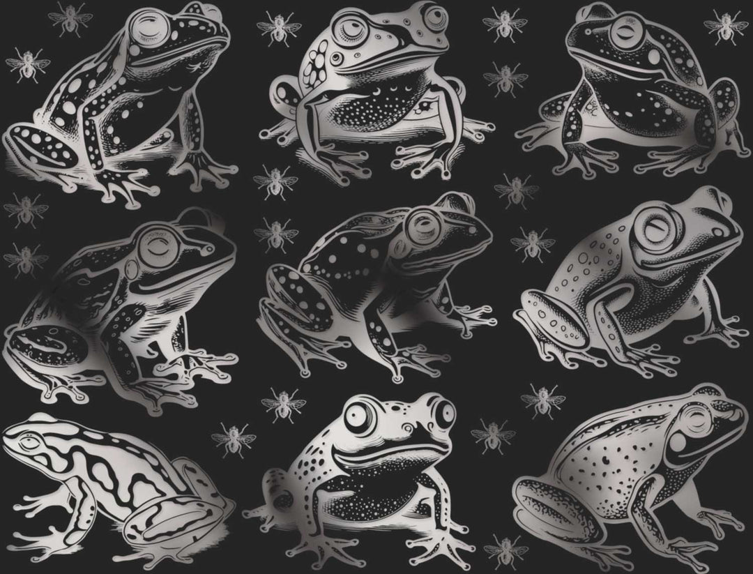 Décalcomanies Grenouilles et Mouches - Céramique Cône 017 - Verre Fusionné