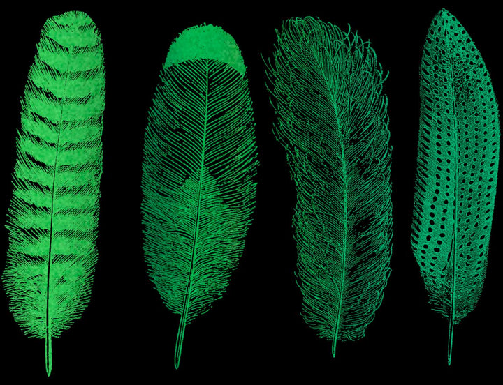 Im Dunkeln leuchtende große Feder #1 Aufkleber - Nicht lebensmittelecht - Glassware - Keramikkegel 022 - Emaille