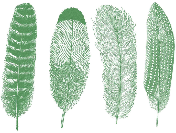 Im Dunkeln leuchtende große Feder #1 Aufkleber - Nicht lebensmittelecht - Glassware - Keramikkegel 022 - Emaille