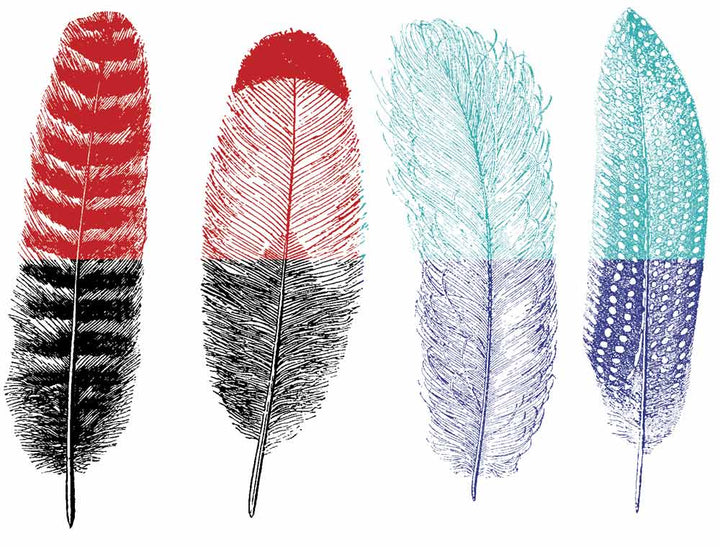 Grande Plume #1 Décalcomanies - Céramique Cône 6 - En-glaçure