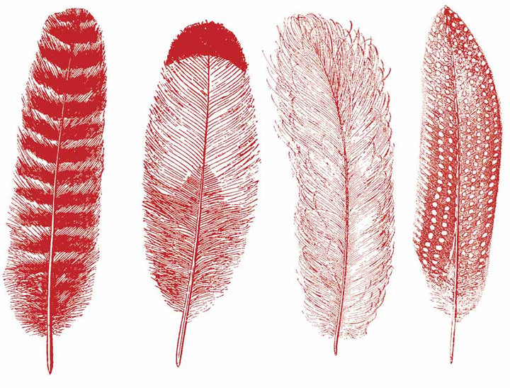 Grande Plume #1 Décalcomanies - Céramique Cône 017 - Verre Fusionné - Émail