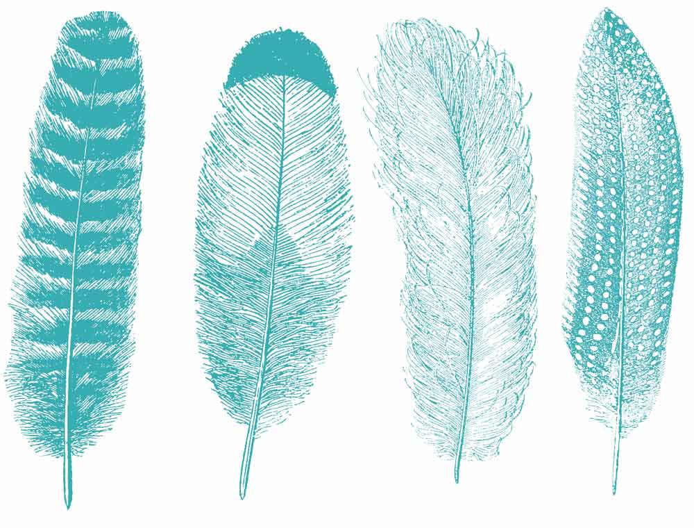 Grande Plume n°1 Décalcomanies - Verrerie - Émail