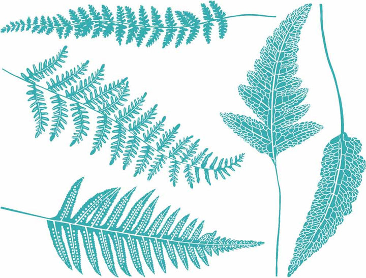 Décalcomanies Fougère - Céramique Cône 6 - En-glaçure