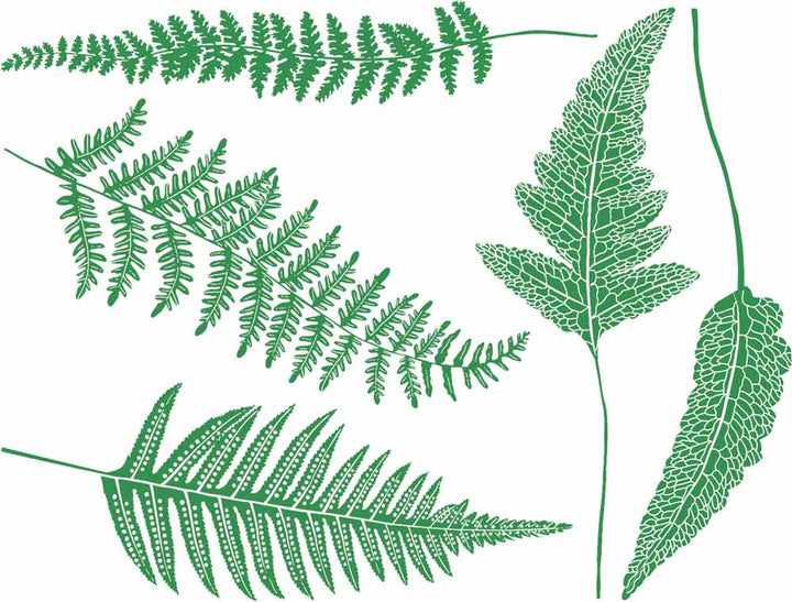 Décalcomanies Fougère - Céramique Cône 017 - Verre fusionné - Émail