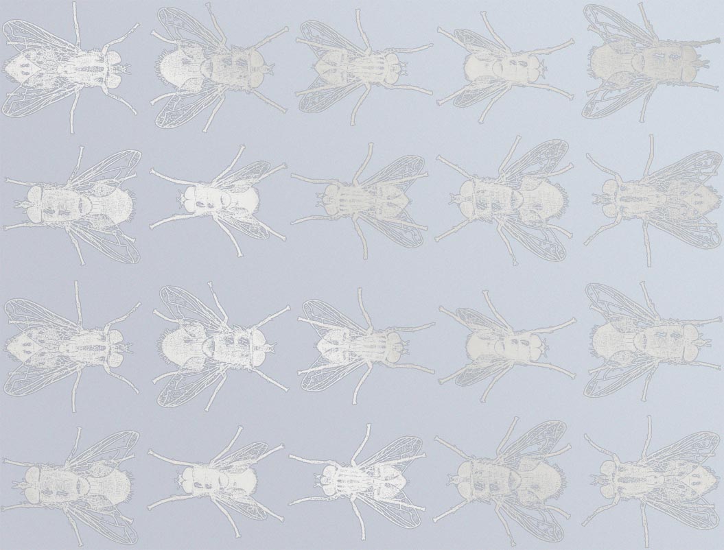 Fliegen-Aufkleber - Kegel 017 - Geschmolzenes Glas