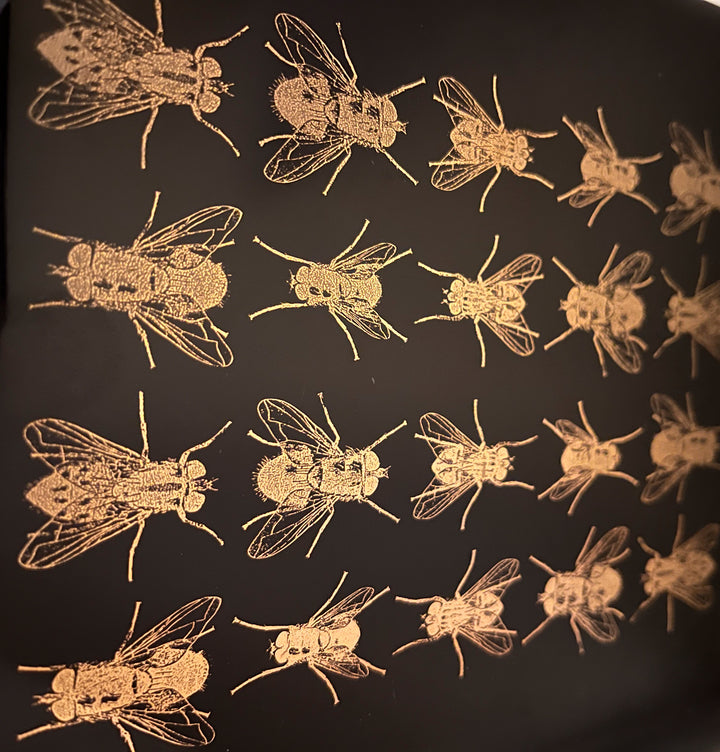 Fliegen-Aufkleber - Kegel 017 - Geschmolzenes Glas