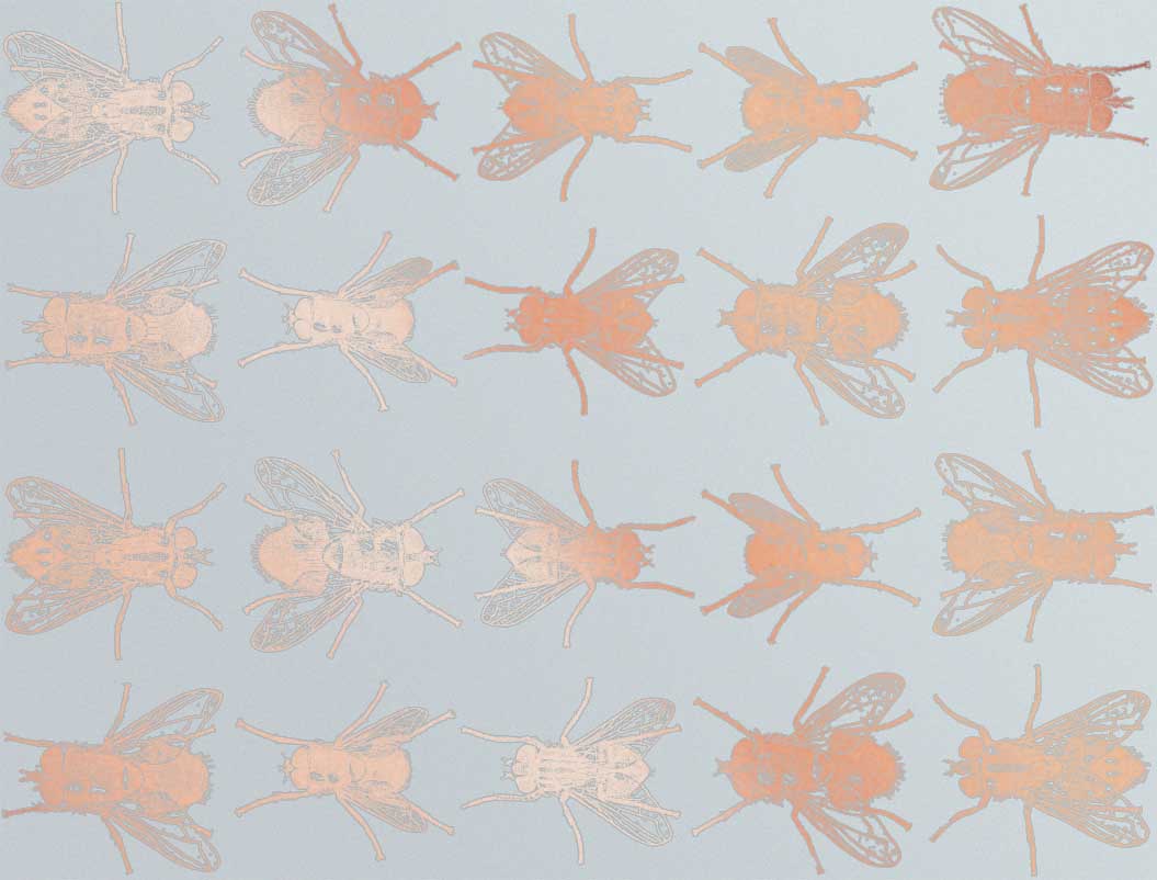 Fliegen-Aufkleber - Kegel 017 - Geschmolzenes Glas