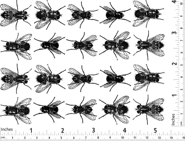 Fliegen-Aufkleber - Kegel 017 - Geschmolzenes Glas