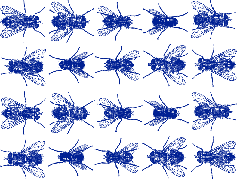 Fliegen-Aufkleber - Kegel 017 - Geschmolzenes Glas