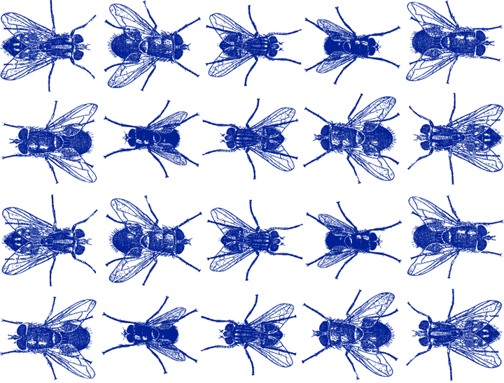 Fliegen-Aufkleber - Kegel 017 - Geschmolzenes Glas