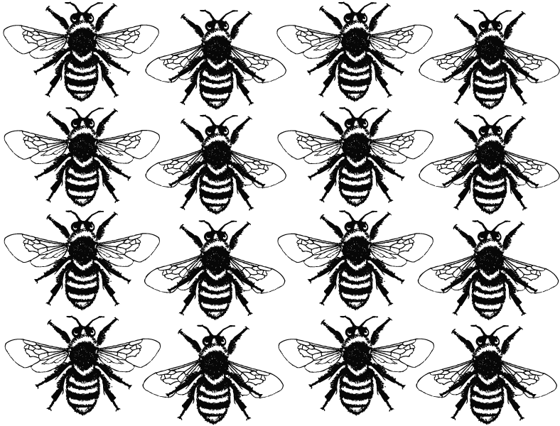 Décalcomanie Reines des abeilles - Cône 017 - Verre fusionné - Émail