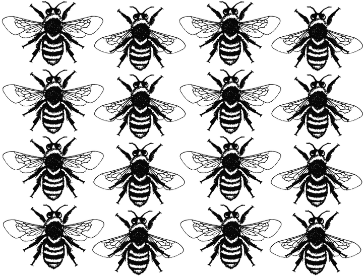 Décalcomanie Reines des abeilles - Cône 017 - Verre fusionné - Émail