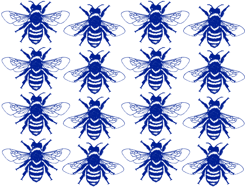 Décalcomanie Reines des abeilles - Cône 017 - Verre fusionné - Émail