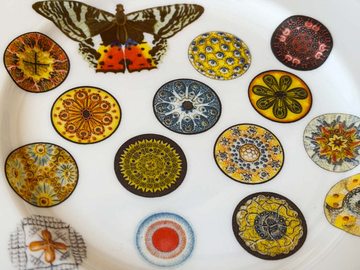 CUSTOM Digital Decal - Full Color - 11x17in (28x40cm) - Food Safe - Ceramic Inglaze 2000°F(1100°C)