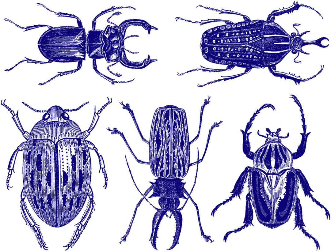 Grands Scarabées Décalcomanies - Céramique Cône 017 - Verre Fusionné - Émail
