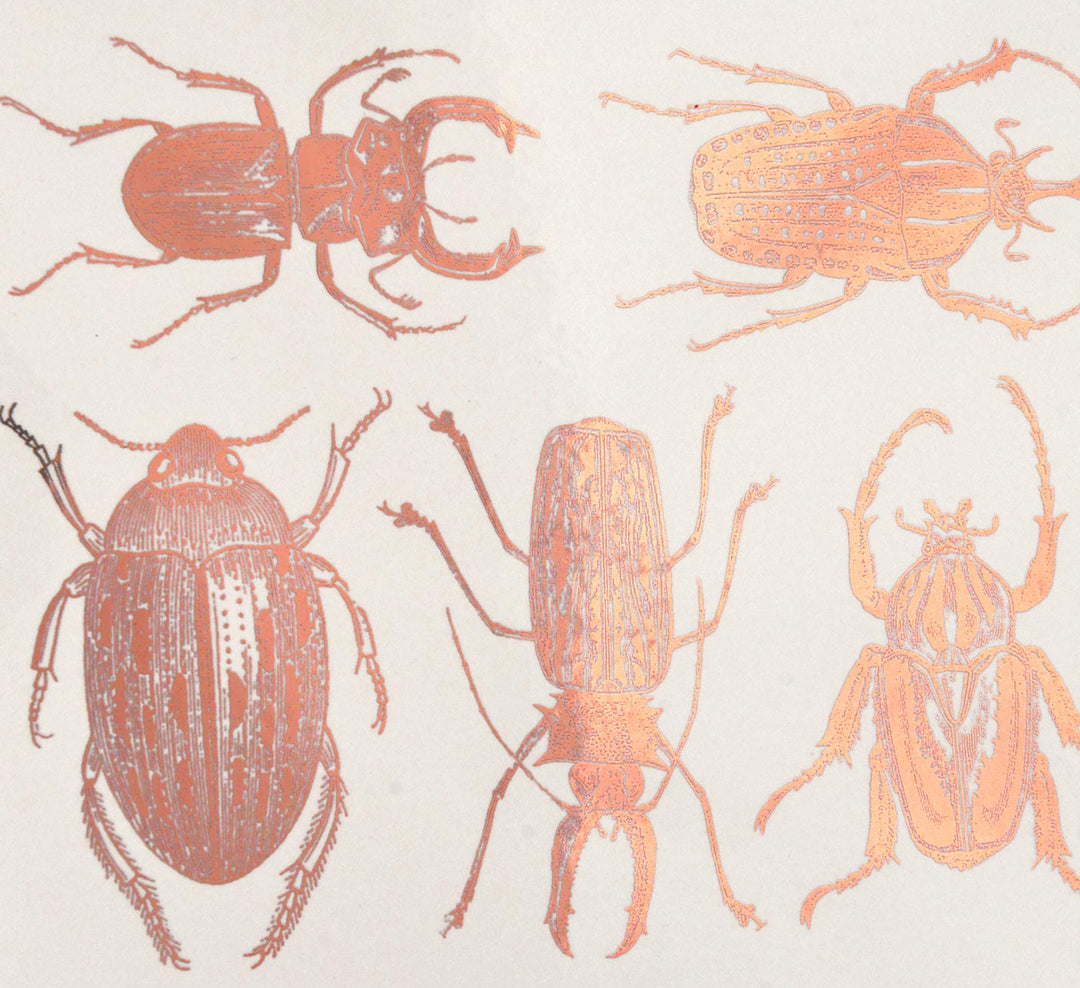 Grands Scarabées Décalcomanies - Céramique Cône 017 - Verre Fusionné - Émail