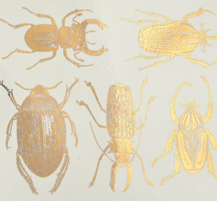 Grands Scarabées Décalcomanies - Céramique Cône 017 - Verre Fusionné - Émail
