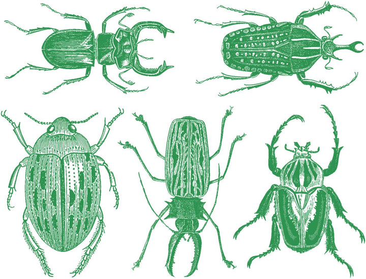 Grands Scarabées Décalcomanies - Céramique Cône 017 - Verre Fusionné - Émail