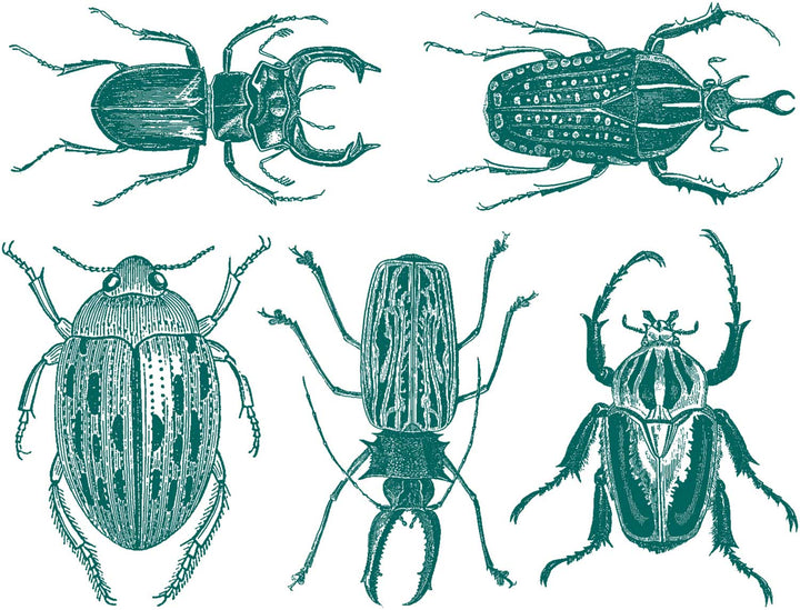 Grandes Décalcomanies Scarabées - Verrerie - Émail