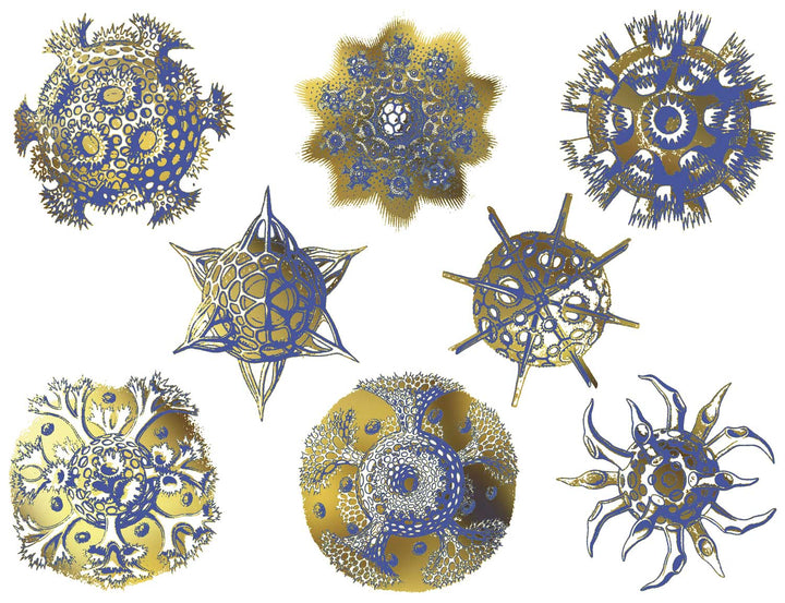 Décalcomanies forme Nature #2 bicolores - Céramique Cône 017 - Verre fusionné - Émail