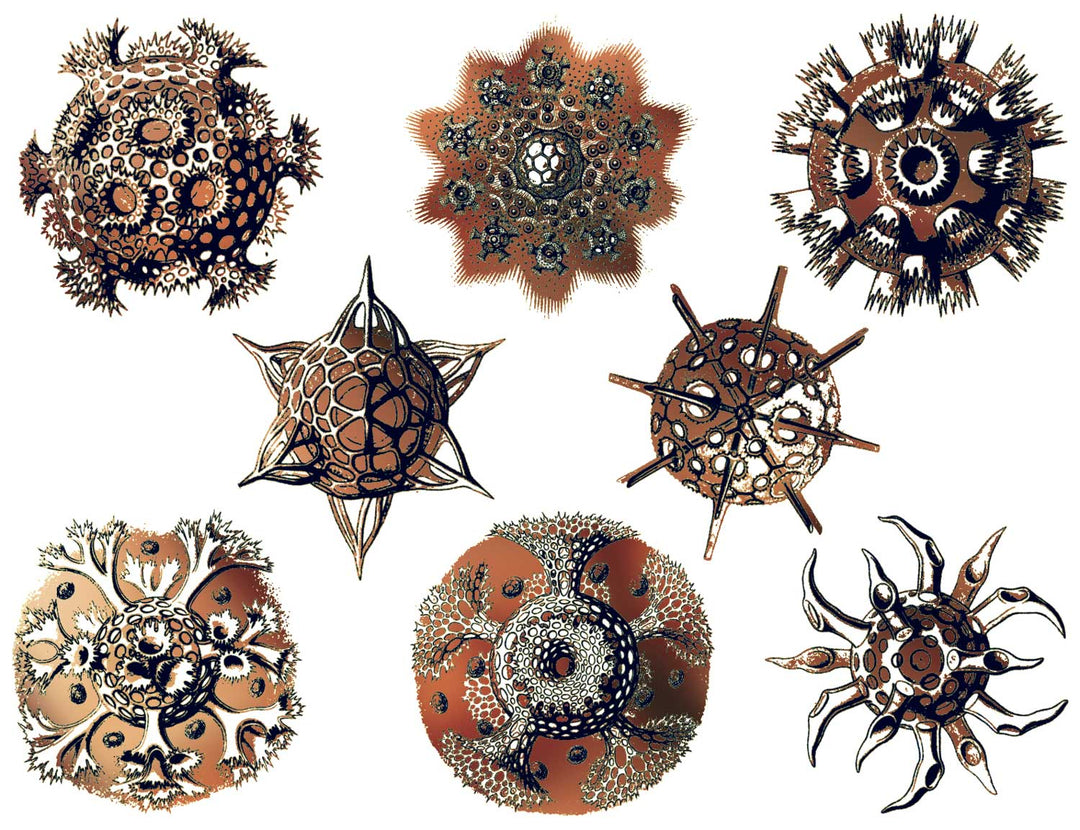 Décalcomanies forme Nature #2 bicolores - Céramique Cône 017 - Verre fusionné - Émail