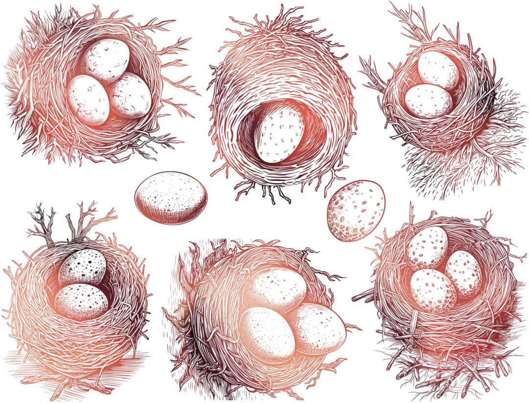 Birds Nest Decals - Ceramic Cone 017 - Fused Glass - Enamel