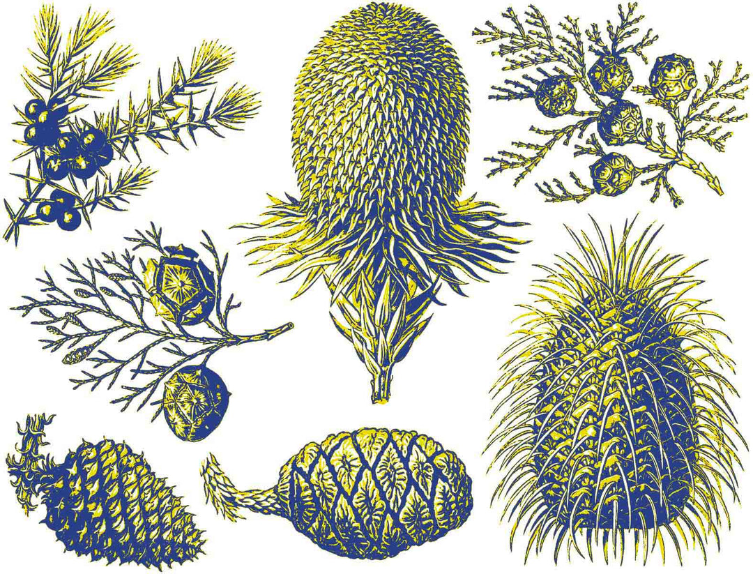 Décalcomanies bicolores de pin et de cône - Céramique Cône 017 - Verre fusionné - Émail