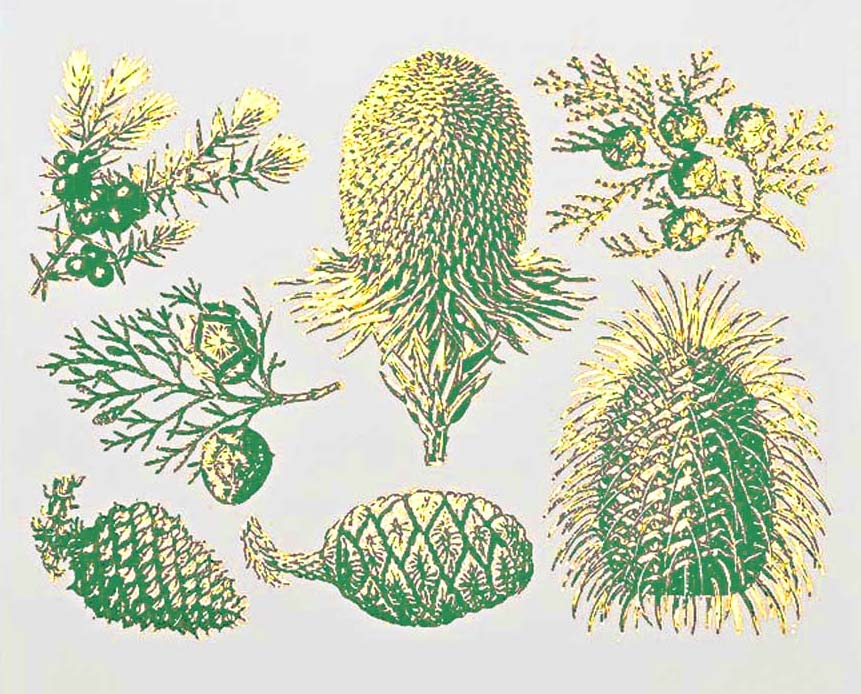 Décalcomanies bicolores de pin et de cône - Céramique Cône 017 - Verre fusionné - Émail