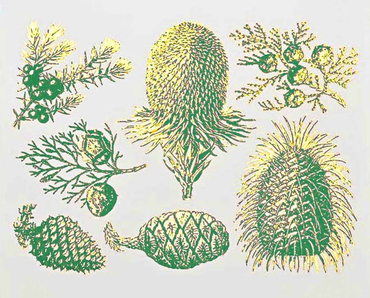 Décalcomanies bicolores de pin et de cône - Céramique Cône 017 - Verre fusionné - Émail