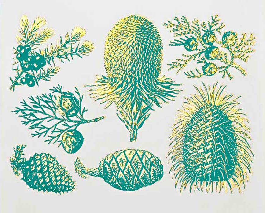 Décalcomanies bicolores de pin et de cône - Céramique Cône 017 - Verre fusionné - Émail