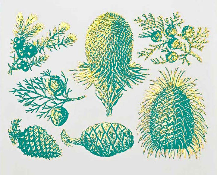 Décalcomanies bicolores de pin et de cône - Céramique Cône 017 - Verre fusionné - Émail